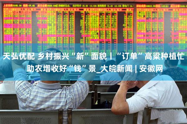 天弘优配 乡村振兴“新”面貌丨“订单”高粱种植忙 助农增收好“钱”景_大皖新闻 | 安徽网