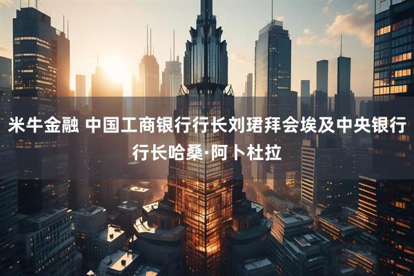 米牛金融 中国工商银行行长刘珺拜会埃及中央银行行长哈桑·阿卜杜拉