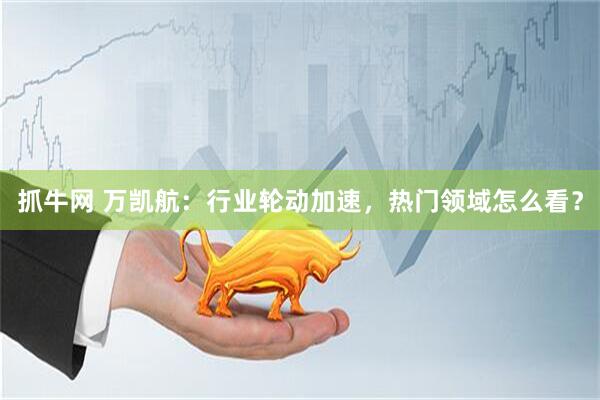 抓牛网 万凯航：行业轮动加速，热门领域怎么看？