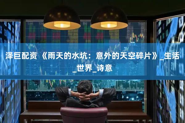 泽巨配资 《雨天的水坑：意外的天空碎片》_生活_世界_诗意