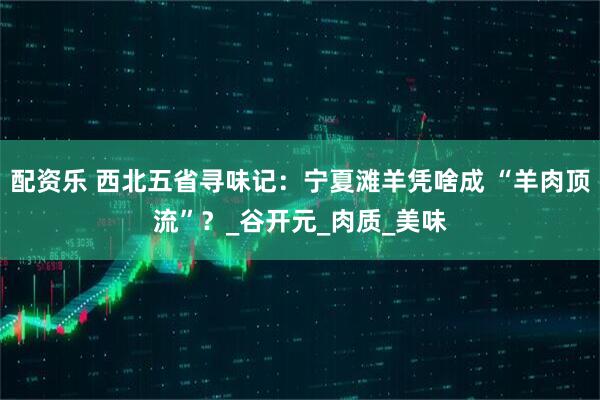 配资乐 西北五省寻味记：宁夏滩羊凭啥成 “羊肉顶流”？_谷开元_肉质_美味