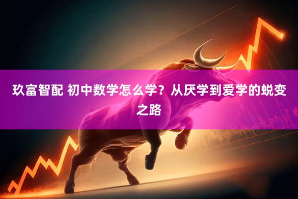 玖富智配 初中数学怎么学？从厌学到爱学的蜕变之路